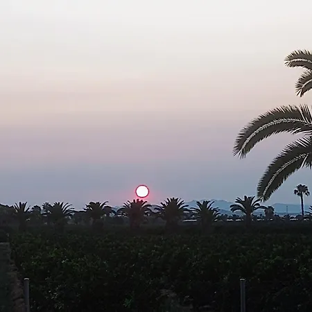 Casa Azahar, With Beautiful View On The Orange Groove And Pink Salt Vakantiehuis