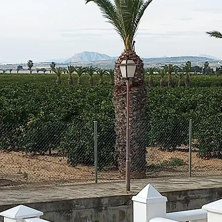 Casa Azahar, With Beautiful View On The Orange Groove And Pink Salt Vakantiehuis