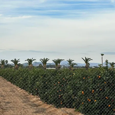 Casa Azahar, With Beautiful View On The Orange Groove And Pink Salt Vakantiehuis