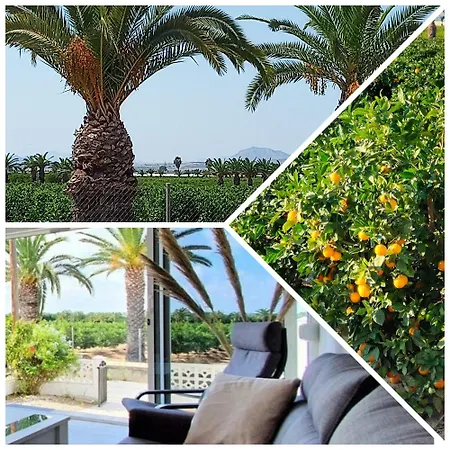 Casa Azahar, With Beautiful View On The Orange Groove And Pink Salt Vakantiehuis *